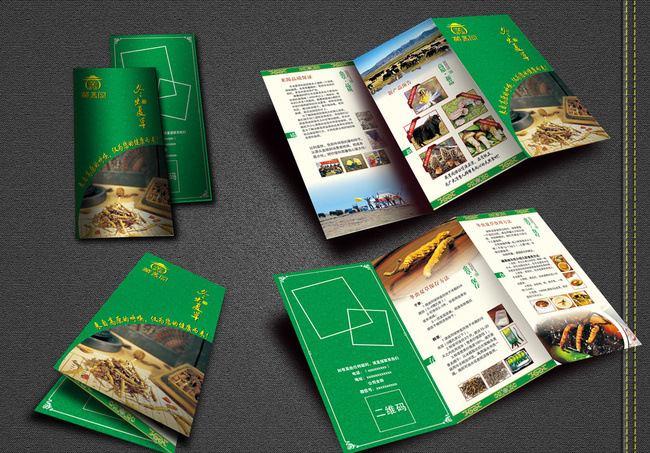 折頁(yè)產(chǎn)品說(shuō)明書宣傳單可做多折黑白彩色來(lái)圖定制印刷